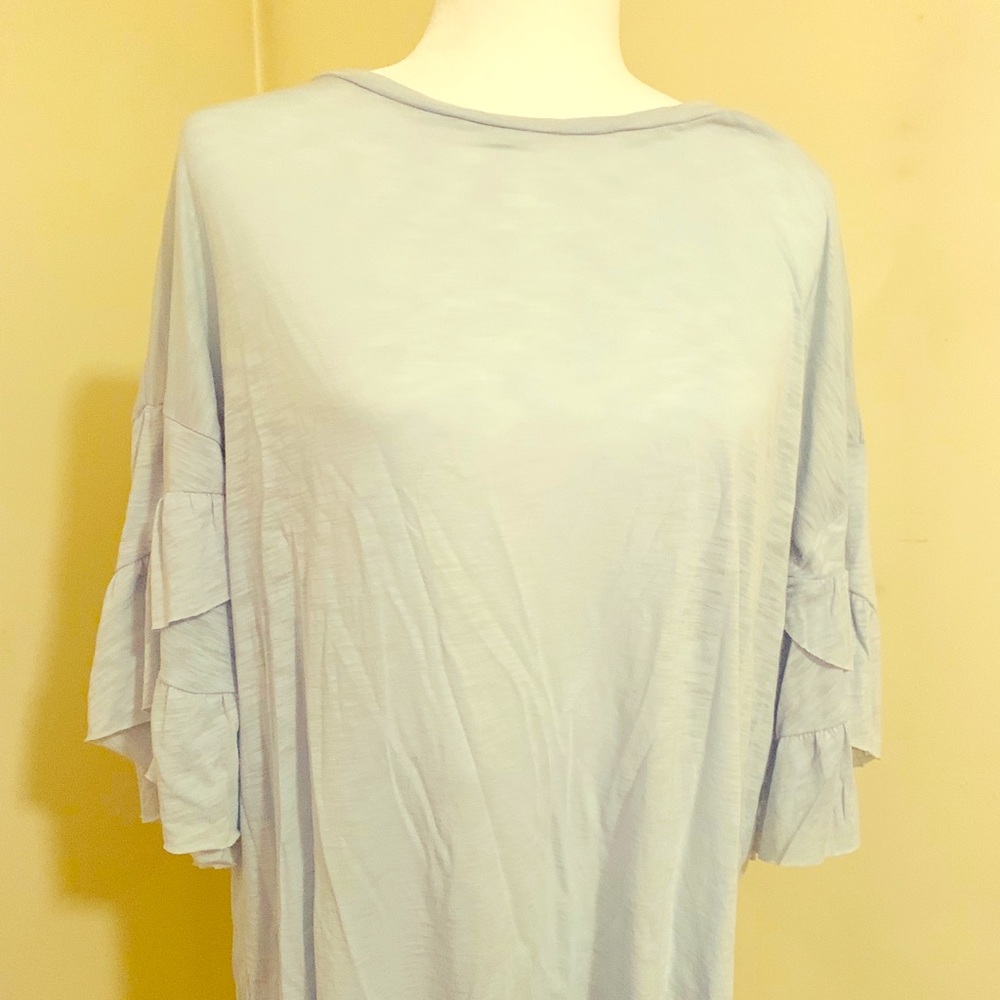 Elan Pale Blue Top with Ruffled Sleeeves
